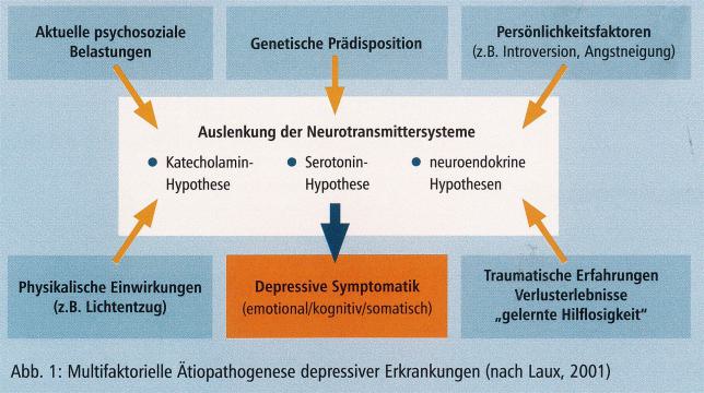 Einflussfaktoren Bild 1